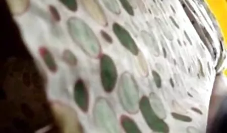 મોં મારા માતા-માં કાયદો konokrad porn