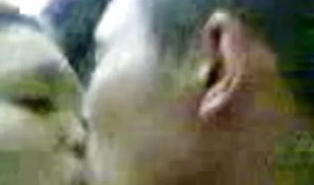 જર્મન સેક્સ onlain ભાઈ આશ્ચર્ય તેની બહેન પોર્ન શાળા પછી