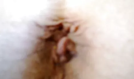 લેસ્બિયન કે ગાંડ ભારતીય પોર્ન વીડિયો માટે મફત છે માં મૂઠી ઘુસેડવી - મોટો કાળો નકલી લોડો છોકરી માટે તૈયાર છે એક મૂક્કો