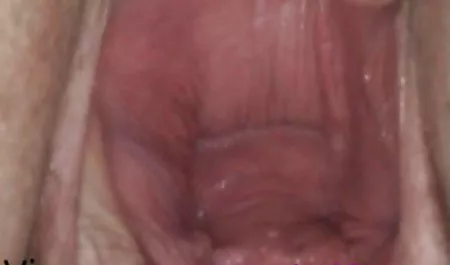 રાવેન હાર્ટ પોર્ન વધુ સારી છે સમૂહ આંતર વંશીય