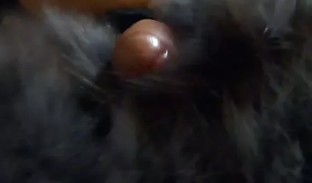 મોહક પોર્ન ભારતીય મફત માટે યુરો કલાપ્રેમી ચહેરા પર તેના બીએફ