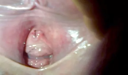 સાચું ગાંડ ચોદતિ વખતે જુઓ પોર્ન રેટ્રો કૅસ્ટિંગ કરવુ અને ગુદા કરનારું સાથે GIA